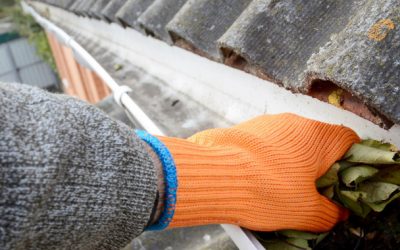 Gutter Cleaning Services – Before and After Photos
