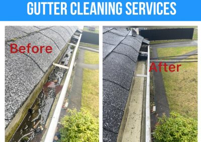 Gutter Cleaning
