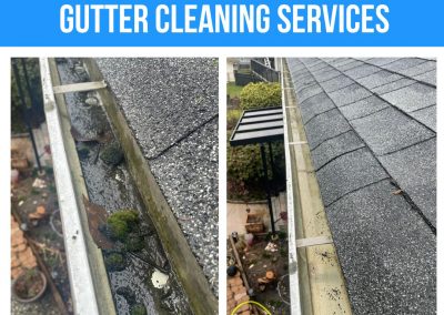Gutter Cleaning