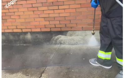 Steps Of Professional Pressure Washing & Gutter Cleaning In Surrey